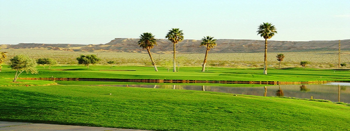 Palms Golf Course